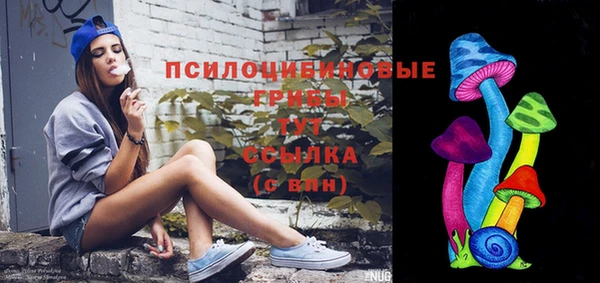 дмт Армянск