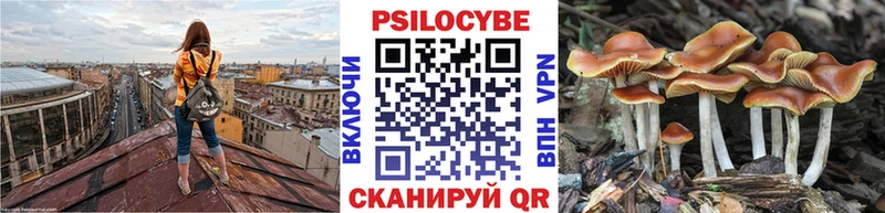 где купить наркоту  Поронайск  Галлюциногенные грибы Magic Shrooms 